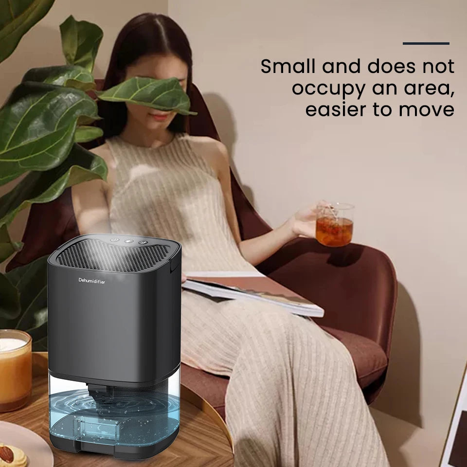 1000ml Dehumidifier With Basic Air Filter 2 in 1 Quiet Moisture Absorbers Cost-Effective Air Dehumidifier For Home Room Kitchen